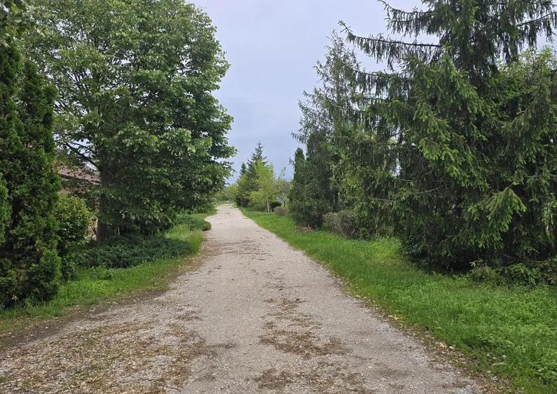 Proprietate Beharca teren 38464mp - 5