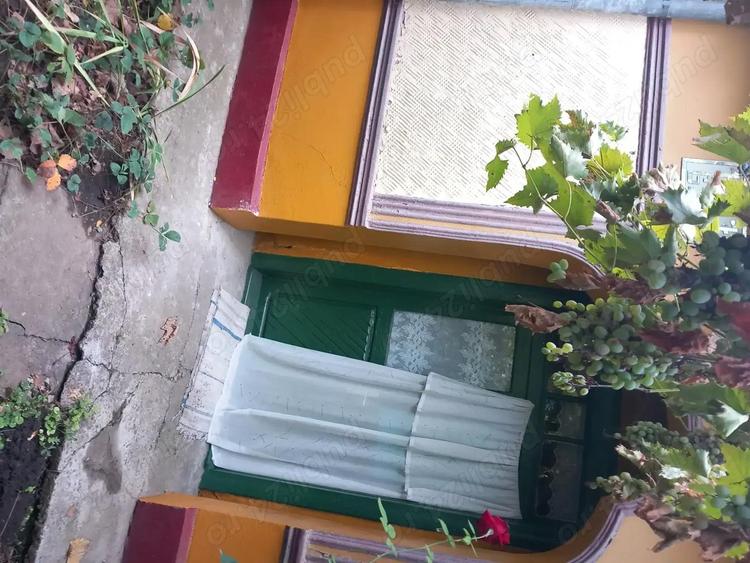 Casa batraneasca si teren de vanzare: Silistraru, Braila - 9