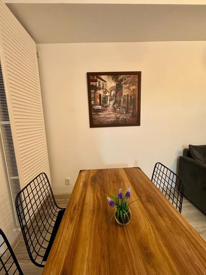 Apartament 2 camere de închiriat zona Dămăroaia - 14