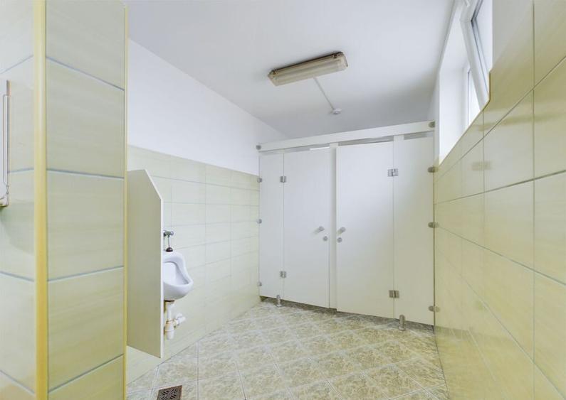 Pensiune in Arad (Vladimirescu) pe DN7 - 10