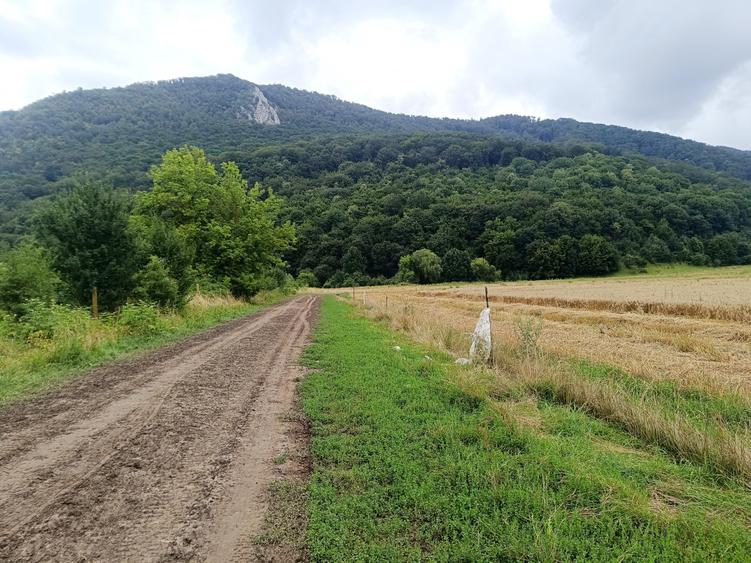 Brașov Bartolomeu,str Cucului , Intravilan 16.500 mp, dezvoltare rezidentiala - 2