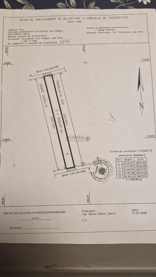 Teren extravilan | Tâncăbești | 5000mp - 4