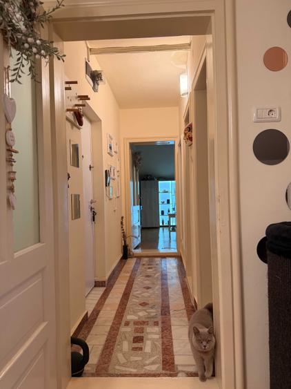 Apartament 2 camere decomandat | Bucatarie inchisa | Balcon | Curte privata | Zona Stadion Complex Studentesc - 41 mp - 8