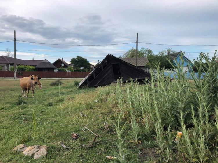 Sfantu Gheorghe Delta. Teren premium 1825mp, 100 m Dunare. Pret:120 m - 1