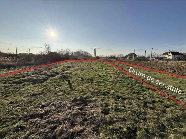 Vand Teren Mosoaia. - 1