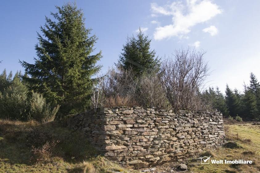 Se vinde teren cat un munte in Apuseni - Poiana Horea - 9