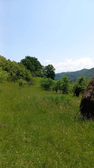 Gospodărie completă + anexe și teren 1,5 ha Năsăud - 3