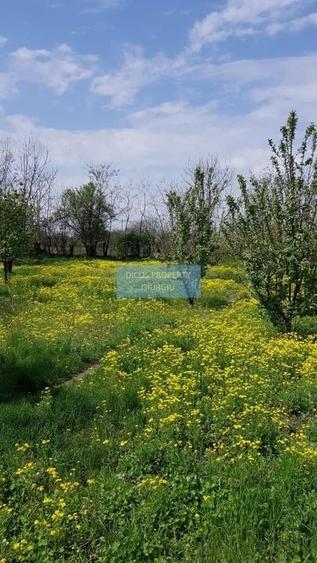 Teren 2.600 mp, utilități, Str. Merișor – Giurgiu - 3