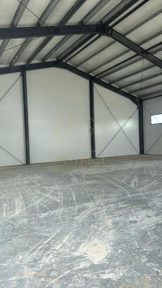 Hala industriala una de 440 mp si 380 mp I Giarmata - 4