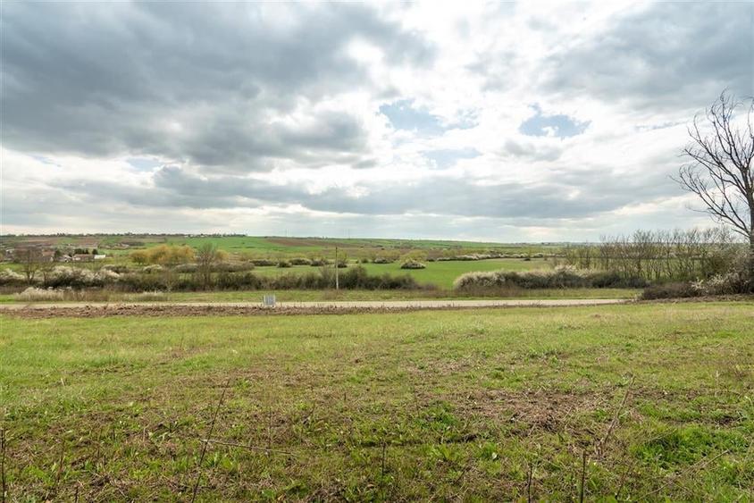 Teren intravilan Cetariu - 8