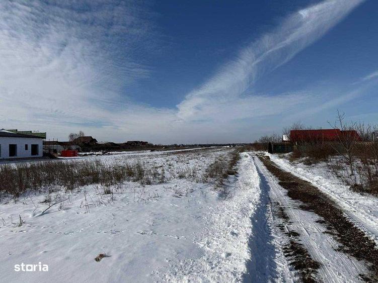 vand teren in domnesti - 5