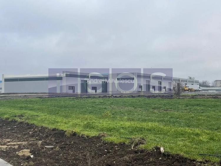 De inchiriat hala in Mogosoaia cu iesire la Centura Bucuresti