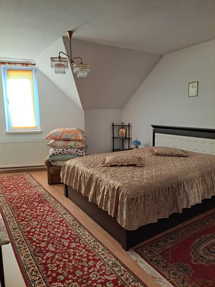 Casa-Vila ultrafinisata in regim D+P+E cu toate utilitatile cu 900 mp,teren - 19