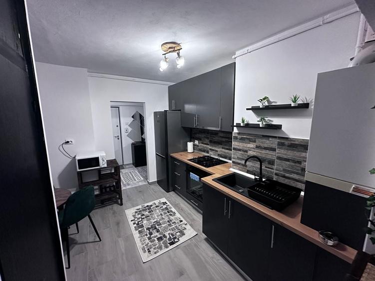 Apartament 2 camere de inchiriat - 6