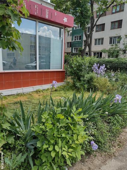 Vand urgent apartament Hipodrom parter - 7