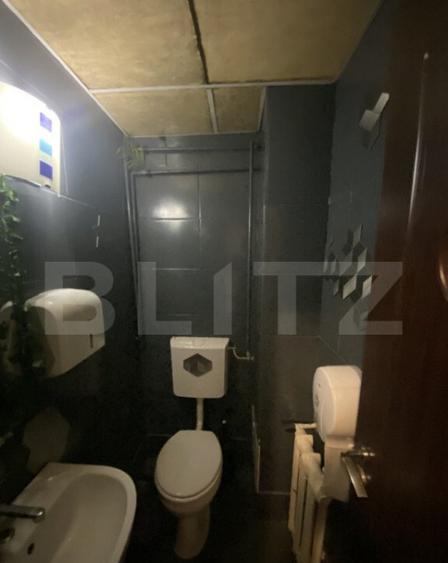 Cladire comerciala, 377 mp, zona Bulevardul Gheorghe Chitu - 1