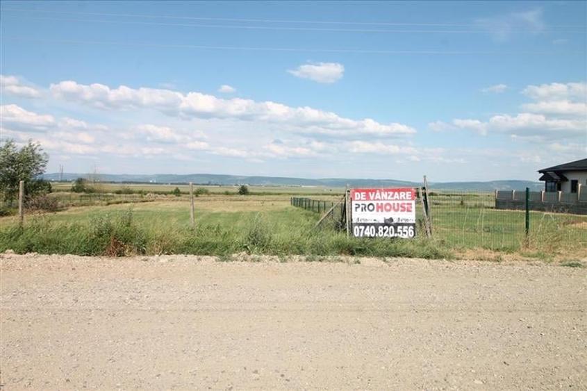 Teren 3000 mp intravilan - Sarata - 4