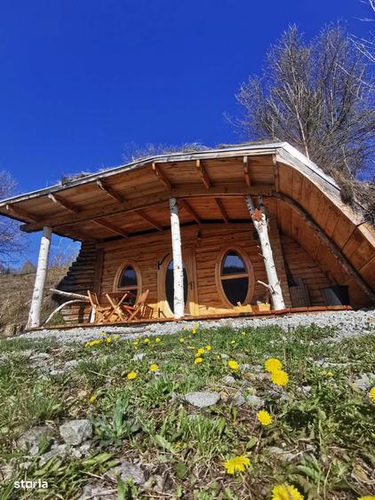 Casă cu 4 camere cu Teren 62000 Mp în Horea