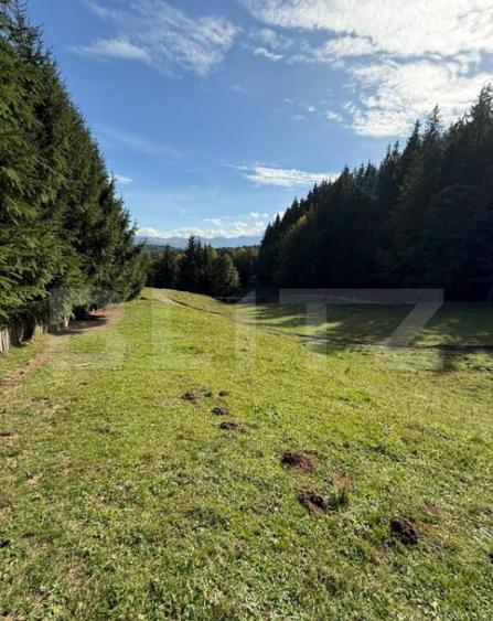 Teren intravilan 28 Ari zona Colibita - 2