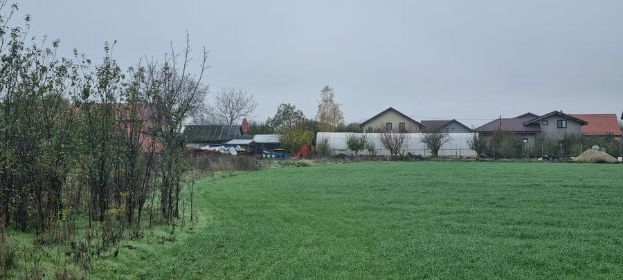 🏡 Teren de vânzare – Ciorogârla, Ilfov - 1