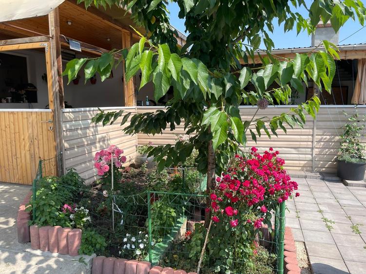 Casă de vânzare – Colentina, lângă Parcul Ion Creangă - 14