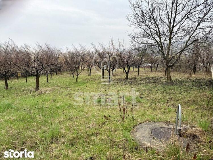 Teren construibil 800mp Borhanci zona Romul Ladea - 3