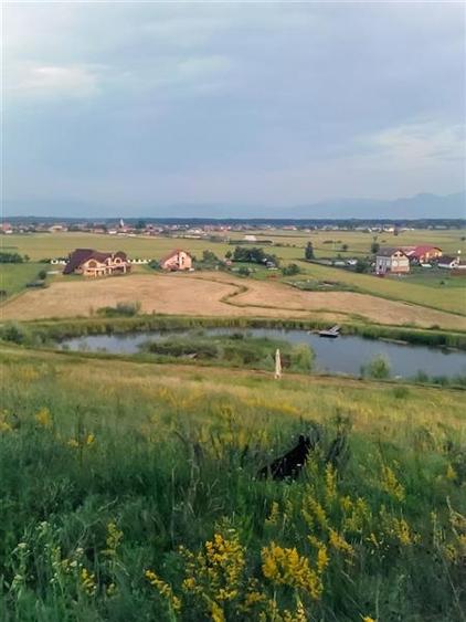 Film & Tur LIVE! Rafinament in cartier linistit, pe 30.000 mp teren paradis, fac - 38