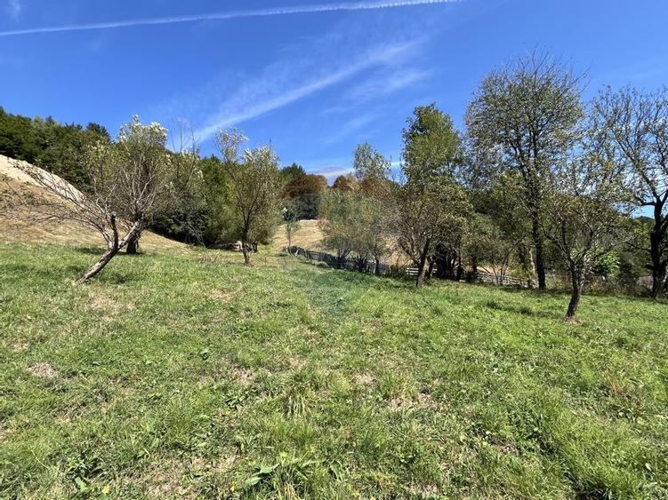 Teren de vanzare Rachitele | Investitie | Comision 0% - 1