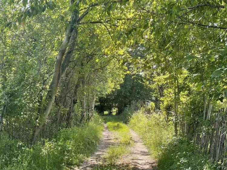 Teren Premium 1559 mp, Brebu Manastirei Refugiu Montan la 120 km de Bucuresti, - 2