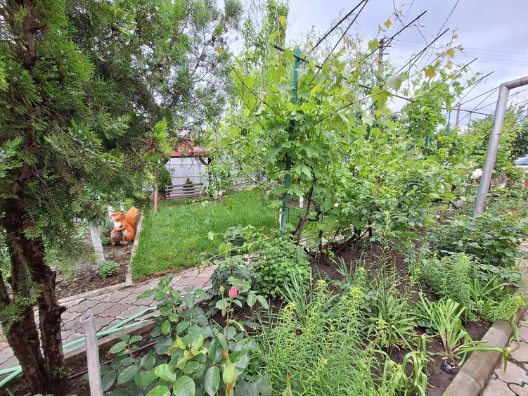 Casa cu 5 camere la 500 metri de LIDL piata centru - 8