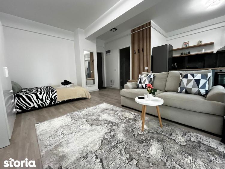 Apartament de inchiriat, o camera, Open space, 35 mp, Lunca Cetatuii - 15
