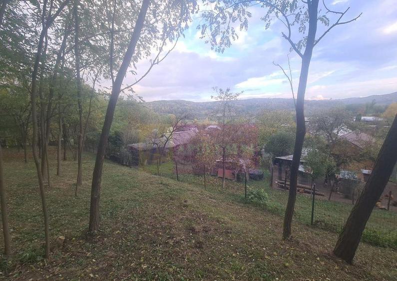 Casa batraneasca cu teren (4.910 mp) la Alunis - 5