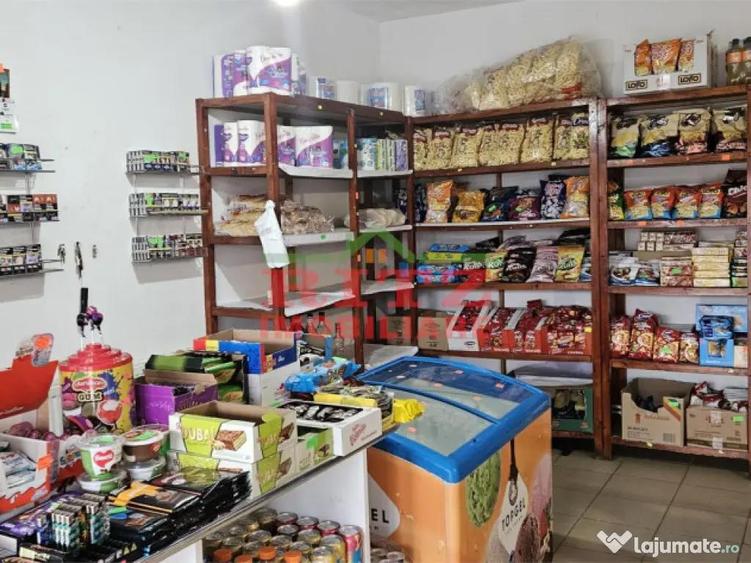 CASA DE VANZARE P 1 E - 18