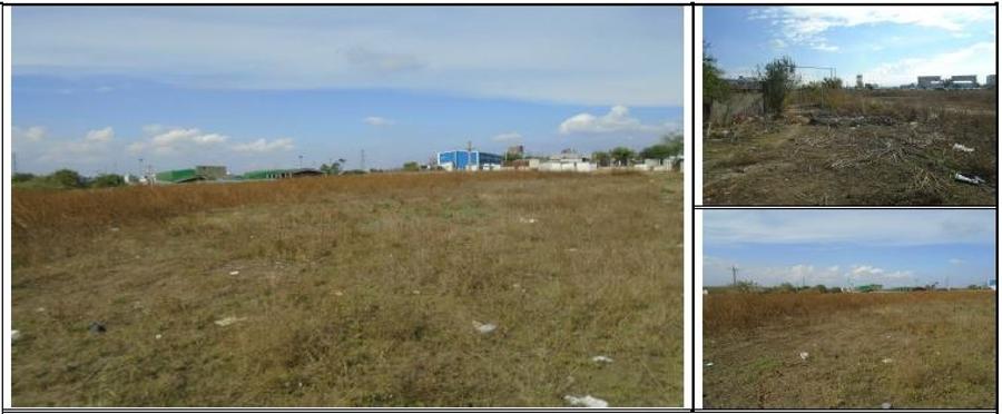 Teren intravilan 3 loturi - total suprafata 7.960 m.p. Constanta pret 600EUR/ mp - 2