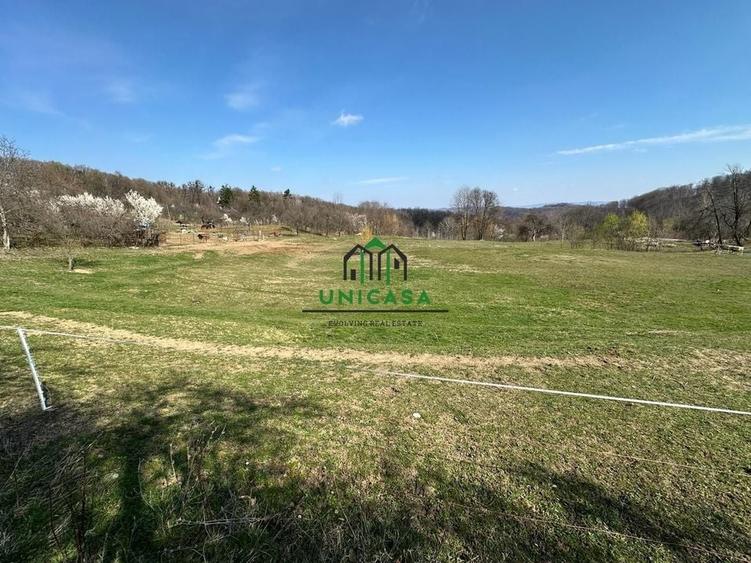 Teren Govora / 8131mp - 3