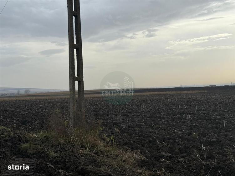 Teren extravilan in EXCLUSIVITATE 20300 mp in Sura Mica - 2