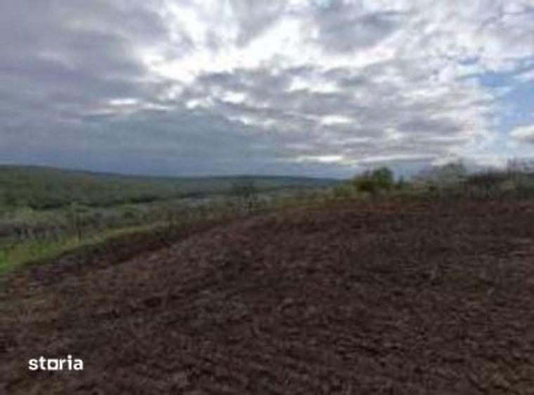 Teren intravilan Comarna, ID: R3075287 - 9