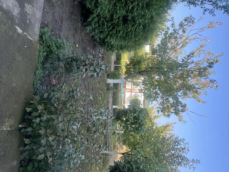 De vanzare casa 5 camere, Ploiesti - 4