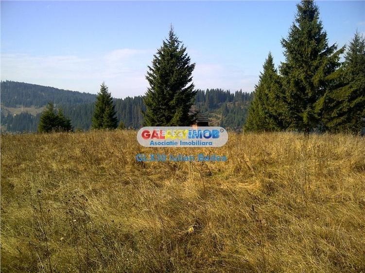 Teren pentru Complex Turistic - 12 730 mp  - Vatra Dornei