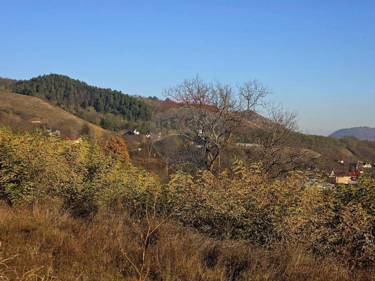 Teren 6,874mp Alexandru cel Bun / Strada plopusor - 17