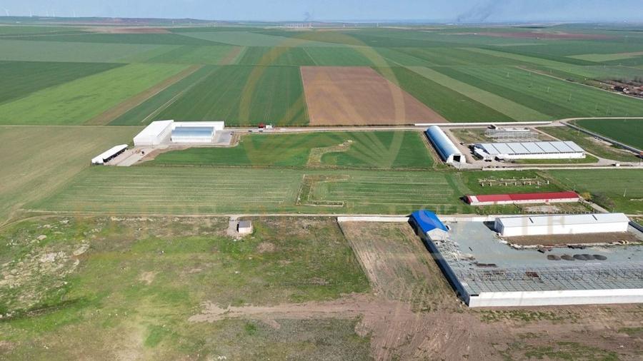 Tariverde - Ferma zootehnica functionala, 3 hectare teren intravilan! - 4
