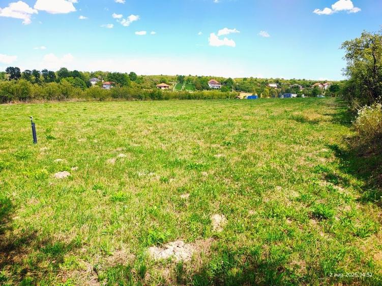 Teren extravilan - 3