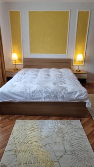 Prima inchiriere - 6