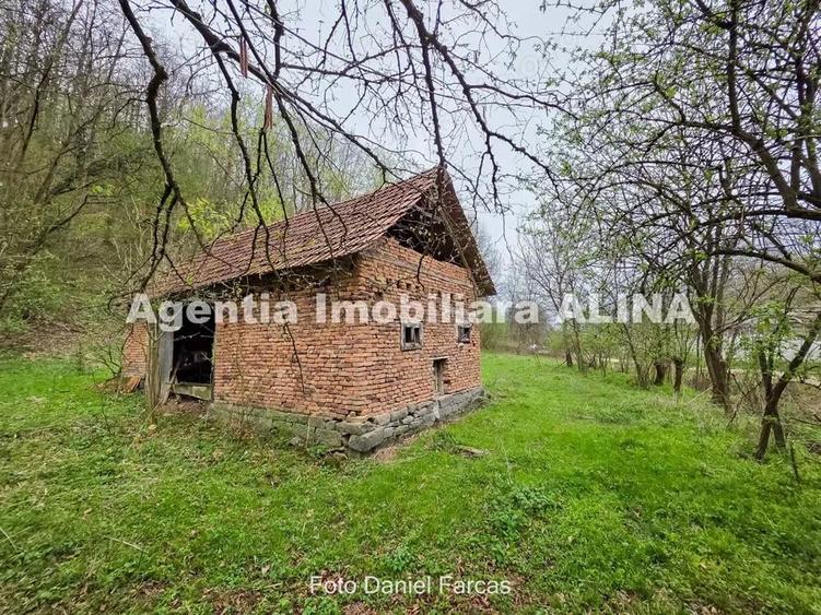 Teren intravilan 1.700 mp + 6.600 mp Padure de foioase + 1.200 mp Padure de foioase, Sat Nojag. - 4