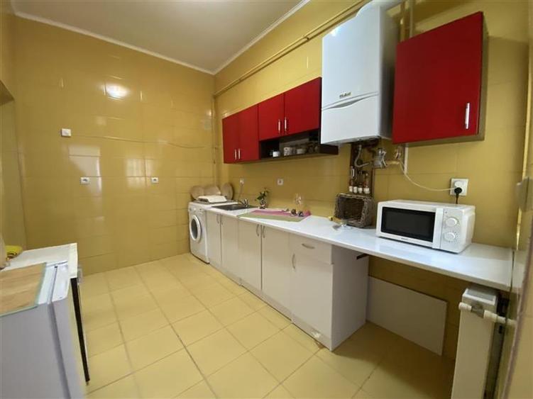 Casa de inchiriat Ultracentral str. Muresenilor cu gradina - 25