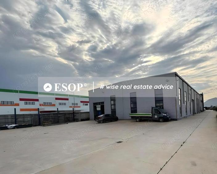 Depozit industrial, 1.950 mp, Teren 4.000 mp, Chitila, ID 15482 - 2