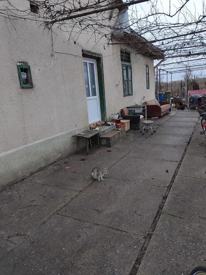 Vind case in bulgarus - 2