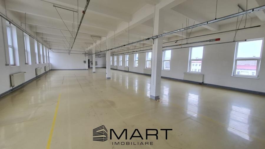 Spatii de inchiriat &acirc; Depozitare | Productie | Birouri Cisnadie - 3