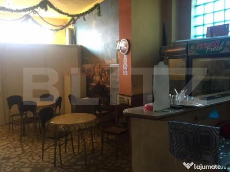 Oportunitate de investitie! Casa cu chiriasi, individuala 17 - 1