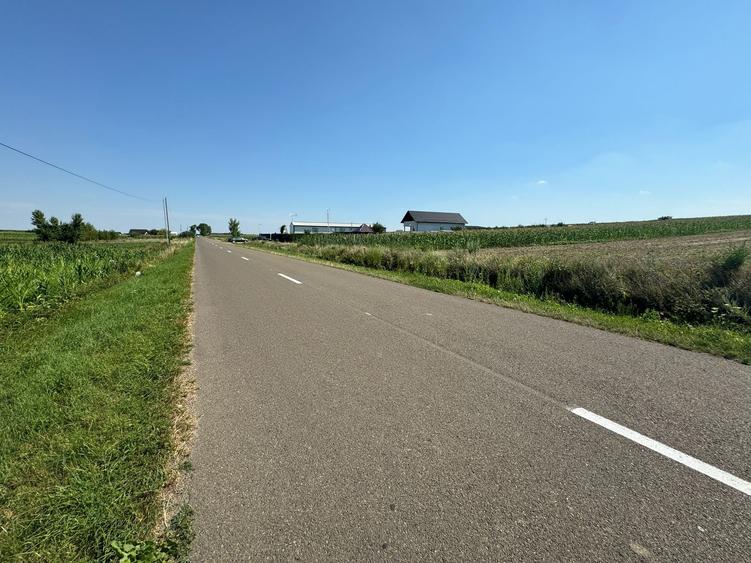 Teren autorizat pentru service - 1